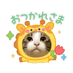 mao_20250403154606