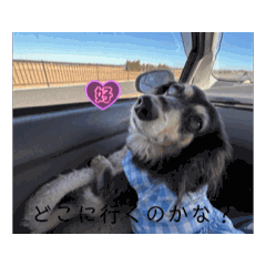 Riri_20250403180815