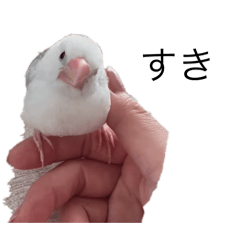 ayakonbu_20250403200432