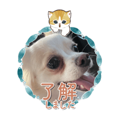 Yuri_20250403151903