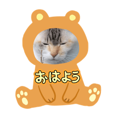ayame_20250403181838