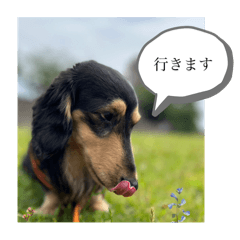 Ray_20250403212911