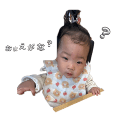 misa_20250403154939