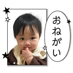 Nozomi_20250403193736