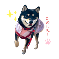 Yui_20250403193341