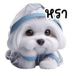 It's rainy season already v.2