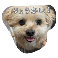 rikochannel