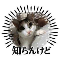 kana_20250403214752