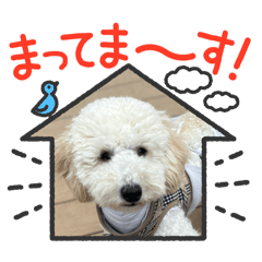 misa_20250403215315
