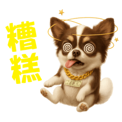 丹丹是隻吉娃娃