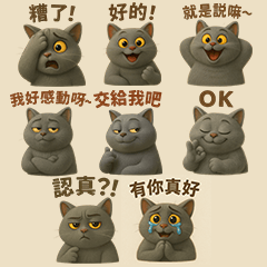 CATS A FU