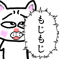 Shy and shy cat2