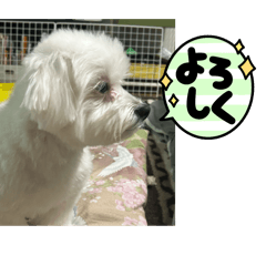 yuma_20250403220551