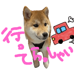 komugi_20250403235938
