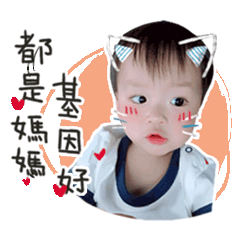 甘丹日常
