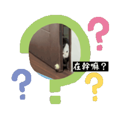 ㄇㄨㄚˇ吉動動合集