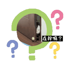 麻糬動動合集