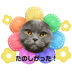 lily_20250403224038