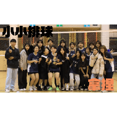 會計女排