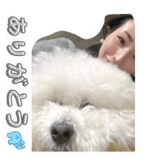 shiho_20250403225903