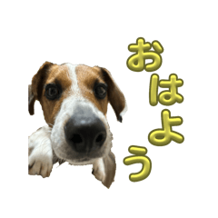 sayaka_20250403230018