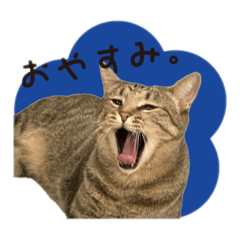 hana_20250404004329