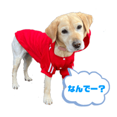 emi.hello