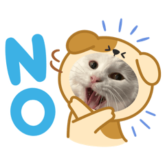 329_20250404083803