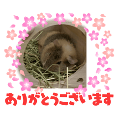 kazumi_20250403210208