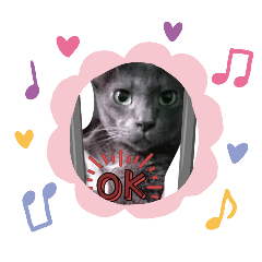 Raymi_cat