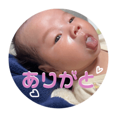 coco_20250404111525
