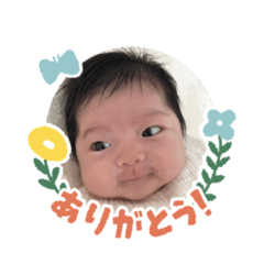 sanachan 1