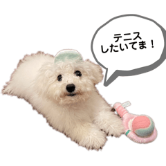 miki_20250404120223