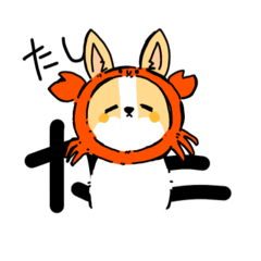 Ask_20250404120751