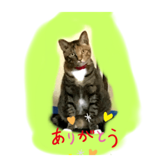 reotowayuri