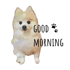 coo-tan no nichijo