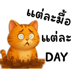 แต่ละมื้อ แต่ละวัน