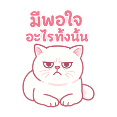 Moji cat lover