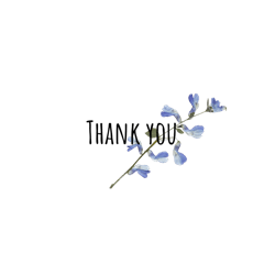 Lemon_2025