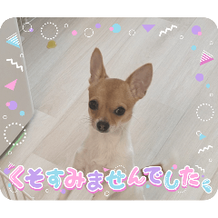 ABC_20250404131546