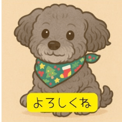 Cute Poodle Dog