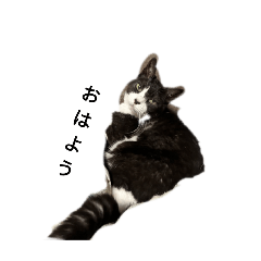 Nekosutanpu1