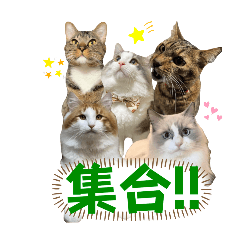HIROICHIGO_20250403140803