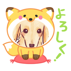 kazumi_20250403141908