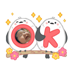 cat_20250404111210