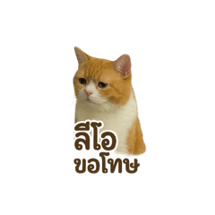 Leo_20250403125749