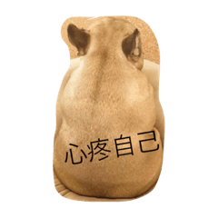 jiahua