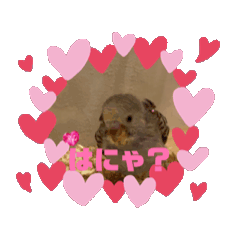 KAHO_20250404132649