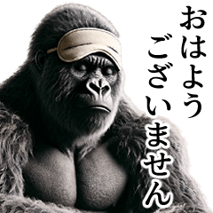 [Lethargic] Handsome Gorilla