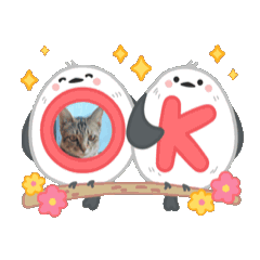nori_20250404170314